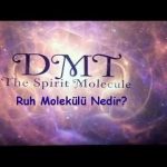 Molekül Nedir? Molekül Çeşitleri Nelerdir? Ruh Molekülü Nedir?